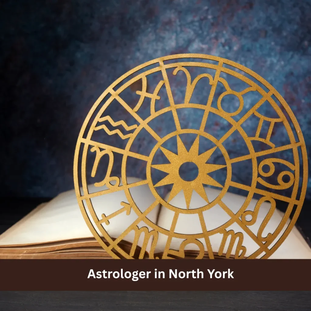 Astrologer in North York